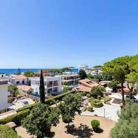 Bdc - Aurelia Seaview!