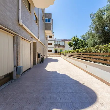 Bdc - Aurelia Seaview!